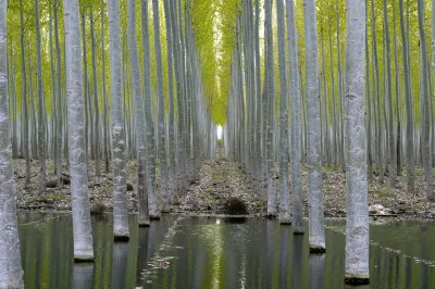 Zdejm_Kapelusz - Boardman, Oregon, USA.

#fotografia #earthporn