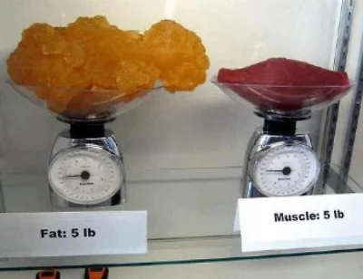 MatthewDuchovny - @ZdzisiuWiesiu: jako dodatek daję porównanie objętości dla tłuszczu...
