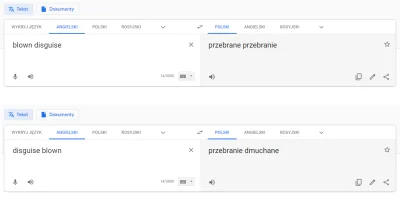 H.....e - Gugel, robisz to źle.

#heheszki #humorobrazkowy #googletranslate #tlumac...