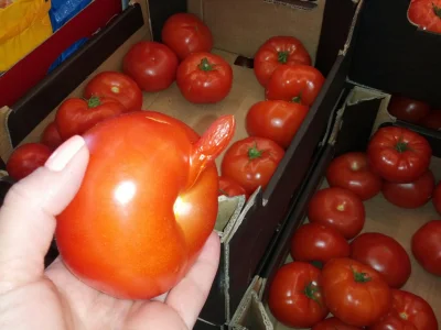 Kamszotowa - Mirki co sie #!$%@?ło. Pomidoru stanął benis na mój widok.

#benis #humo...
