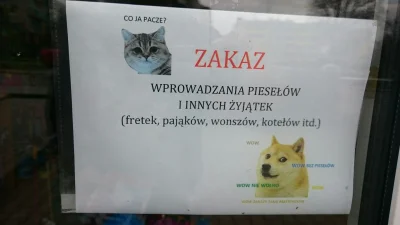 metaxy - Takie rzeczy na sklepie w #krakow, a sprzedaje tam pani koło pięćdziesiątki....