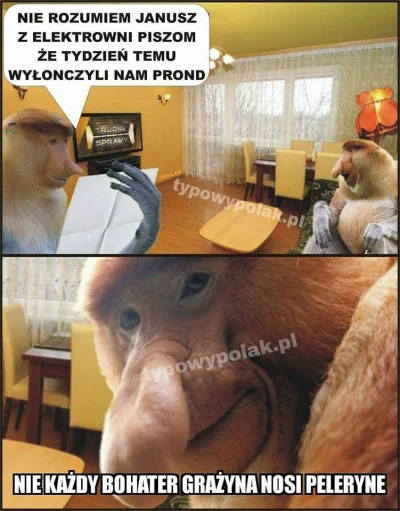 DyrektorInternetu - #heheszki #gotujzwykopem #polak #nosaczsundajski #humorobrazkowy