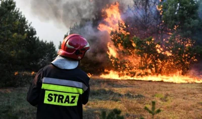 robert5502 - Potężny pożar lasu w Bydgoszczy. Straż ściągnęła wsparcie.. To niewatpli...
