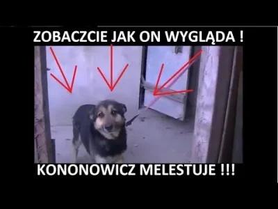 N.....y - Knur i ćpun tego psa wgl wyprowadzają gdziekolwiek? 
Przecież ten pies naw...