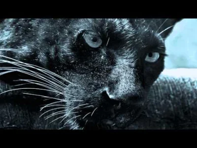 WesolyGrabarz - Alex di Stefano - Black Panther


#techtrance #techno #trance #muz...