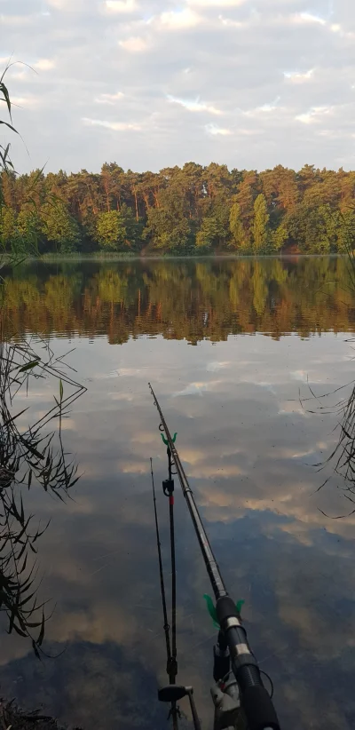 legolas115 - Trzeźwi i wędkarze plusujo, spitusy co wypiły kilka piwek za dużo przy m...