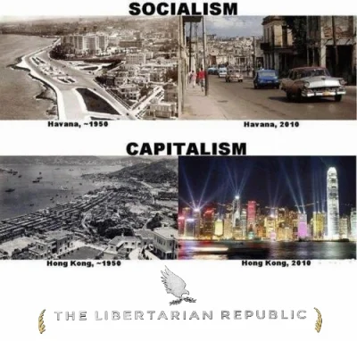Domowik - #kapitalizm #komunizm #hawana #hongkong #lewackalogika