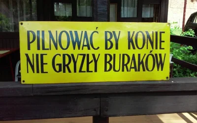 saint - Muszę u siebie takie zamontować (⌐ ͡■ ͜ʖ ͡■)
#konie #jezdziectwo #koniarze #...