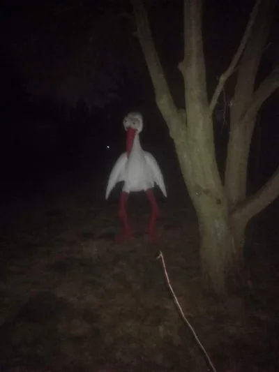 Deku - Kiedy twój sąsiad postawia coś czego nie powinien ( ͡º ͜ʖ͡º)
#janusze #januszc...