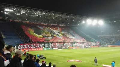 Negard - #wislakrakow