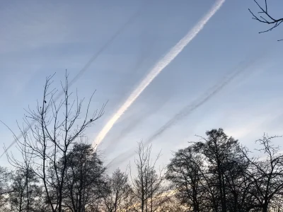 Malbuk - Mirki, nie żebym był zwolennikiem teori chemitrails, ale ojciec owszem. Zauw...