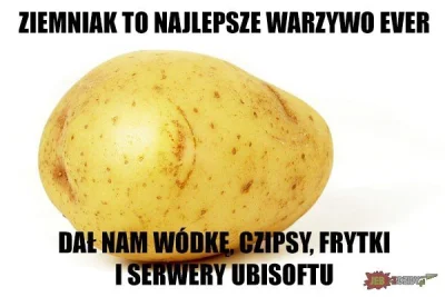 TwojPan - #heheszki #humor #humorinformatykow