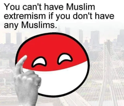 F.....a - ( ◔‿◔ )
#heheszki #muslim #islam #polandball