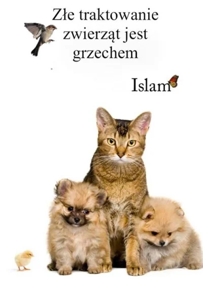 barytosz - Złe traktowanie zwierząt jest uważane w Islamie za grzech.



Muzułmanin j...