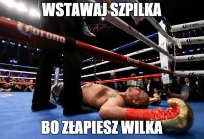 v.....8 - #szpilka #boks