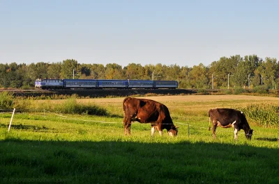 choochoomotherfucker - Pociąg EIC Porta Moravica jedzie szlakiem Olza–Chałupki.

#k...