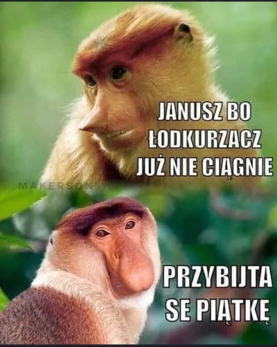 wypokowytrol - #heheszki #humorobrazkowy