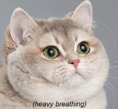 InformacjaNieprawdziwaCCCLVIII - @sceptyk-: