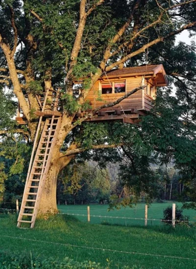szybki_bil - Kto zawsze chciał mieć swój prywatny domek na drzewie? #pytanie #niebies...