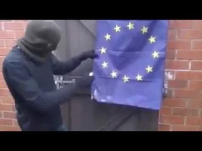 fledgeling - Ktoś chce zaprotestować przeciw Unii Europejskiej i spalić jej flagę. Ok...