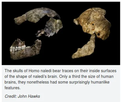 bioslawek - Homo: naledi, florensis, erectus, ergaster to Homo sapoiens!


Źródło:...