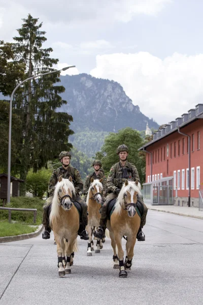 mrpeppard - #heheszki #wojsko #niemcy #konie #ciekawostki 
Kuce bojowe bundeswehry