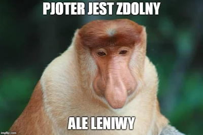 C.....o - W każdej polskiej rodzinie ( ͡° ʖ̯ ͡°)
#polak #nosaczsundajski #heheszki #...