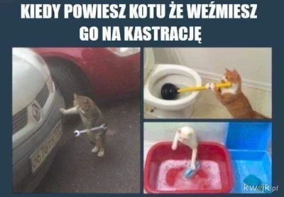 ciootka - xD!
#heheszki #humorobrazkowy