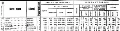 Miczowiec - Wybrane rekordy z dokumentu z 1909 roku dotyczącego populacji miast w Kró...