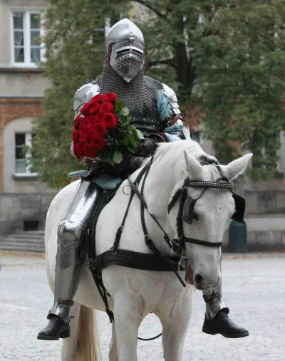 Pabick - Białorycerstwo ratuje niewiastę w niebezpieczeństwie.
SPOILER