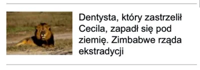 appylan - Gazeta.pl od teraz równa poziomem ortografii do swojego, niskiego poziomu m...