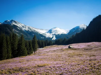 mq1 - #fotografia #mojezdjecie #tatry