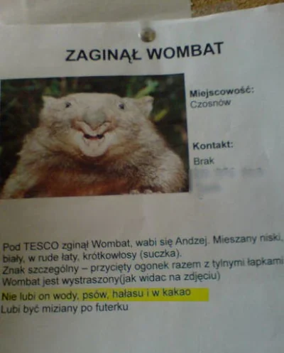 r.....k - @fir3fly: Jak wombat to tylko Andrzej.