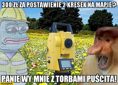 majsterV2 - #heheszki #humorobrazkowy #nosaczsundajski #polakicebulaki ( ͡° ͜ʖ ͡°)