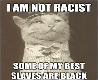 recenzor - #rasizm #niewolnictwo #koty #zwierzaczki #humorobrazkowy