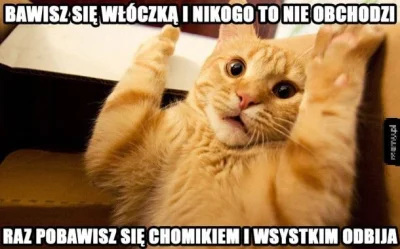 poszukujekota - (｡◕‿‿◕｡)
#heheszki #kot #koty #humorobrazkowy