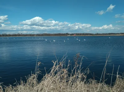 sokytsinolop - #rower #fotografia 
Wietrzenie dzisiaj