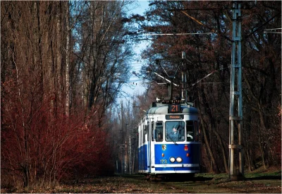 Przedmidorrr - Prawie jak Igołomska w #krakow ( ͡° ͜ʖ ͡°)