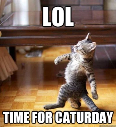 nobody_here - #caturday