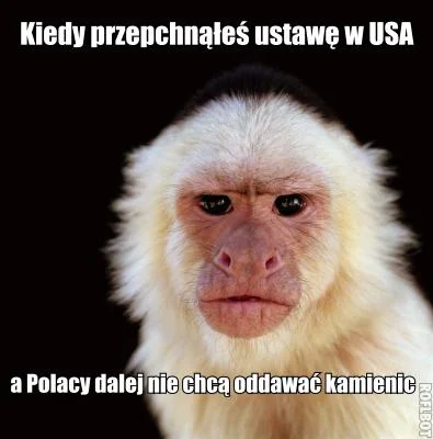 KalesonySokratesa - #polak #ukrainiec #zyd #heheszki