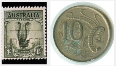 p.....2 - podobiznę ptaka znajdziemy nawet na autralijskich znaczkach i monecie