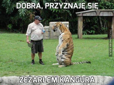 Aggressive - #humorobrazkowy #heheszki