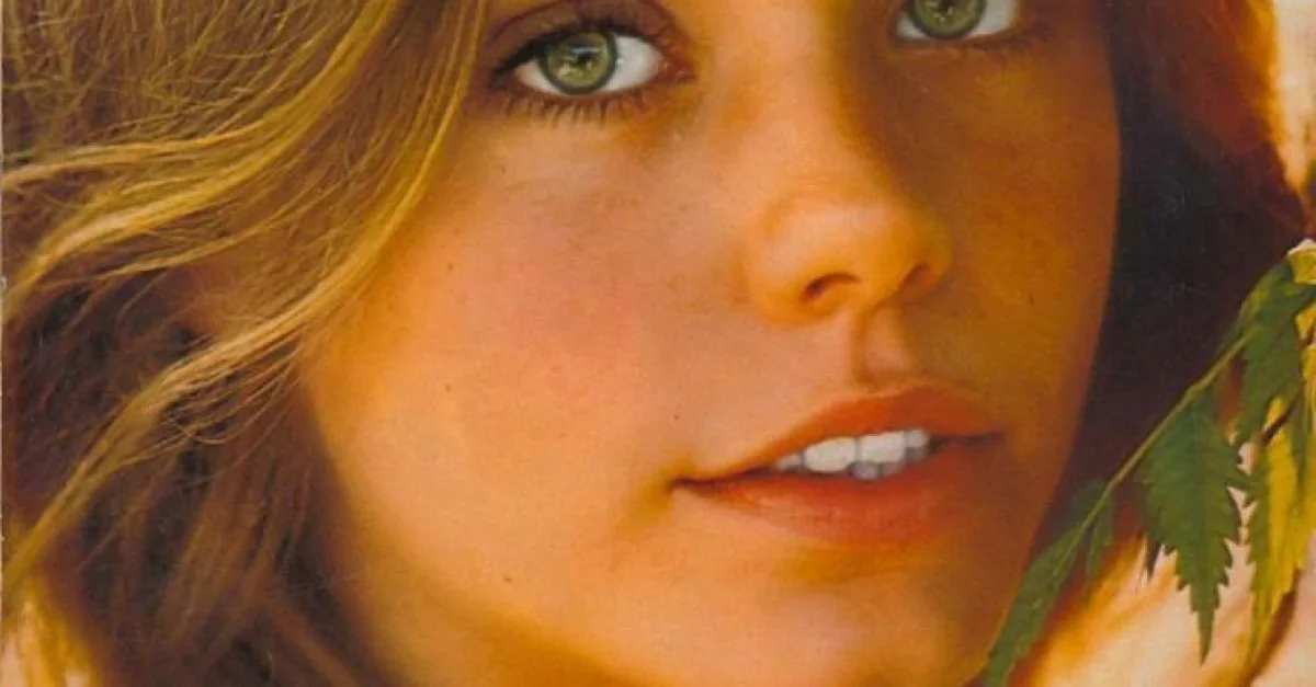 Susan Dey, 70's #vintagensfw #nsfw.