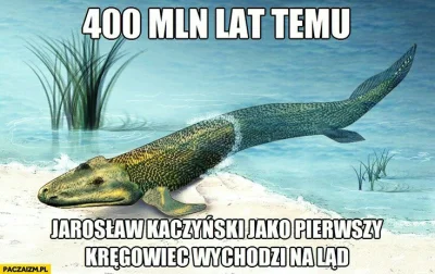 pazn - #heheszki #humorobrazkowy #bekazpisu #neuropa #bekazprawakow