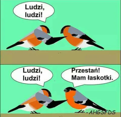 idnolb - #heheszki #humorobrazkowy