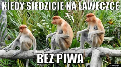 ZawodowyPolak - #polak #memy #heheszki #humorobrazkowy #tworczoscwlasna