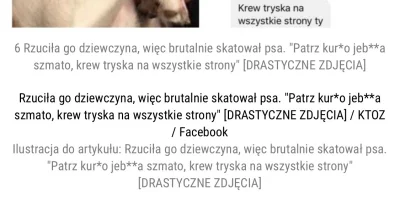 suqmadiq2ama - Rzuciła go dziewczyna, więc brutalnie skatował psa. "Patrz kur*o jeb**...