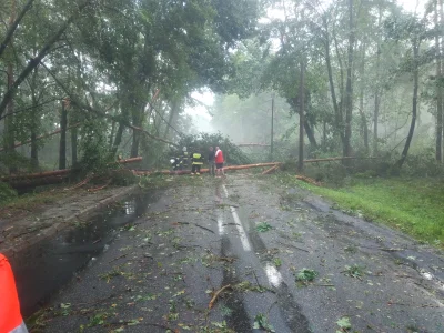 Balerofon - Byłem w tym czasie w Biedronce w kuźni raciborskiej. Całość trwała z 20 m...