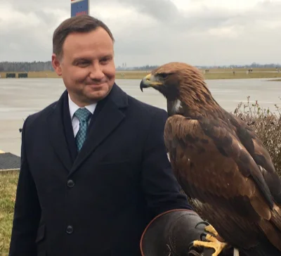 mudzo - 1. Zainwestuj w rękawice sokolnika. 
2. Wybierz się do parku, znajdź odpowie...