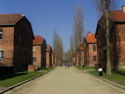 Wykopaliskasz - Poniżej zdjęcie Auschwitz. Nie znalazłem z tej samej perspektywy.